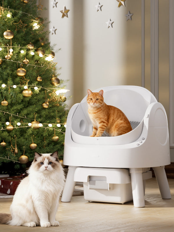 AutoScooper 11 Self-Cleaning Cat Litter Box – Smart, Quiet, and Convenient