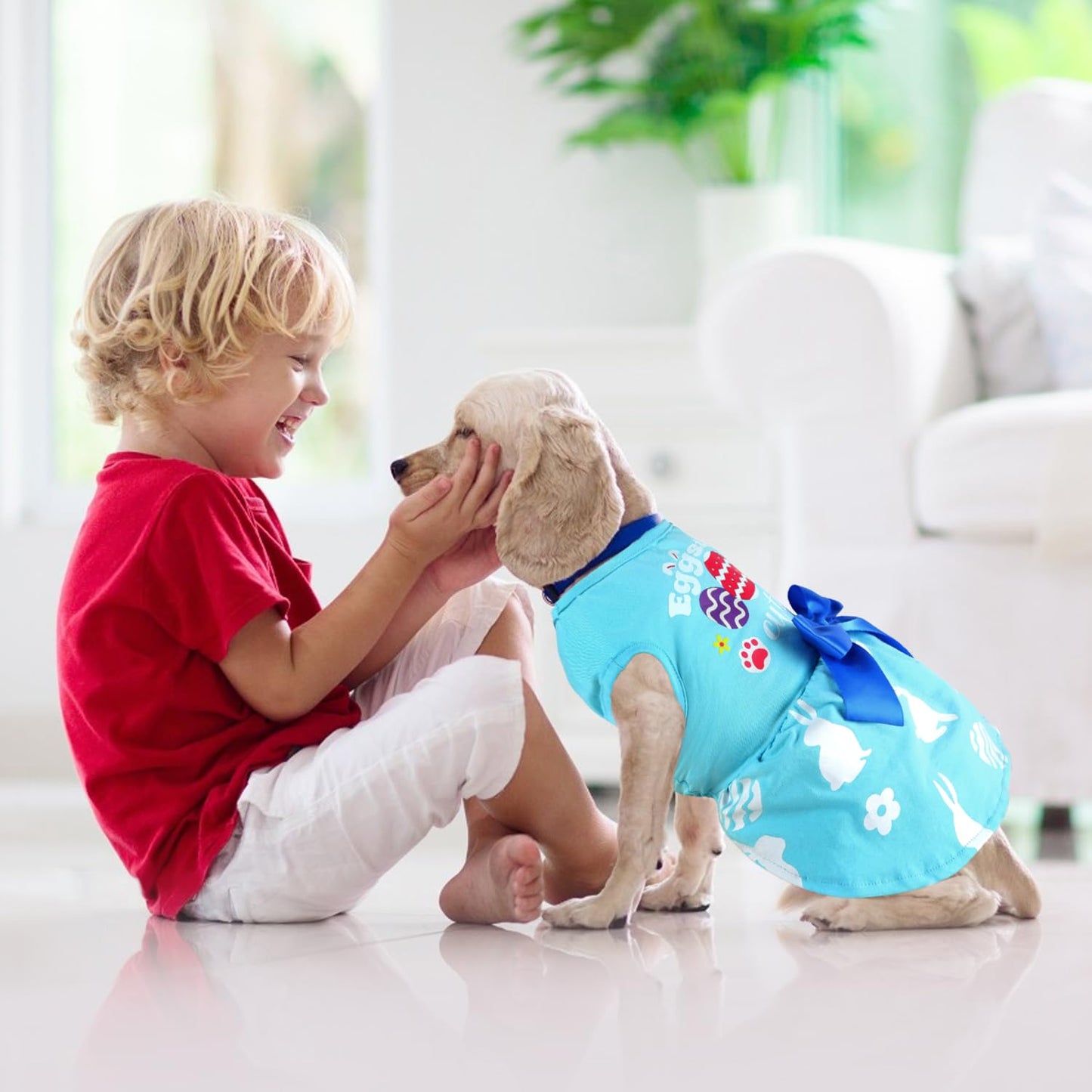 Dog Christmas Outfit - Merry Woofmas Dog Dress with Bowknot Tulle for Small & Medium Dogs