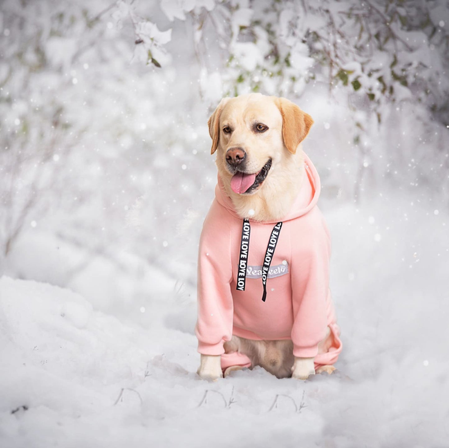 Dog Hoodies Winter Coat for Large and Medium Dogs - Pullover 9 Legs Warm Coat with Hood for Cold Weather - Available in Red, Pink, and Grey