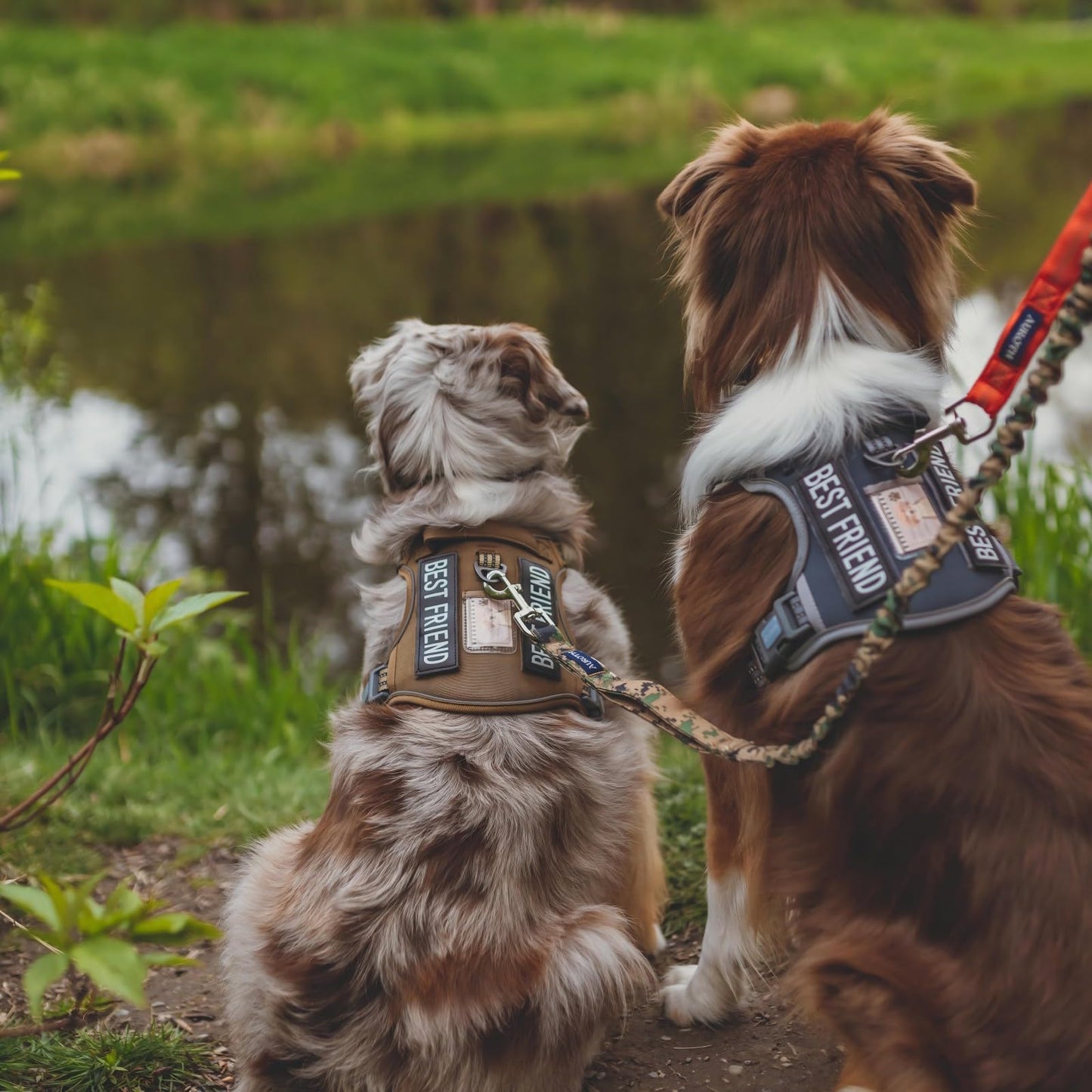 Auroth Tactical Dog Harness – No Pull Adjustable Pet Harness with Leash for Large Dogs (Multiple Sizes & Colors)