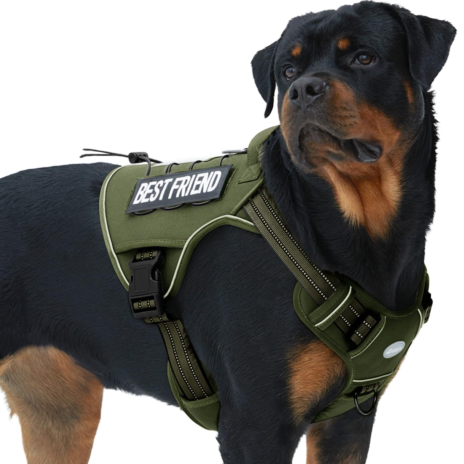 Auroth Tactical Dog Harness – No Pull Adjustable Pet Harness with Leash for Large Dogs (Multiple Sizes & Colors)