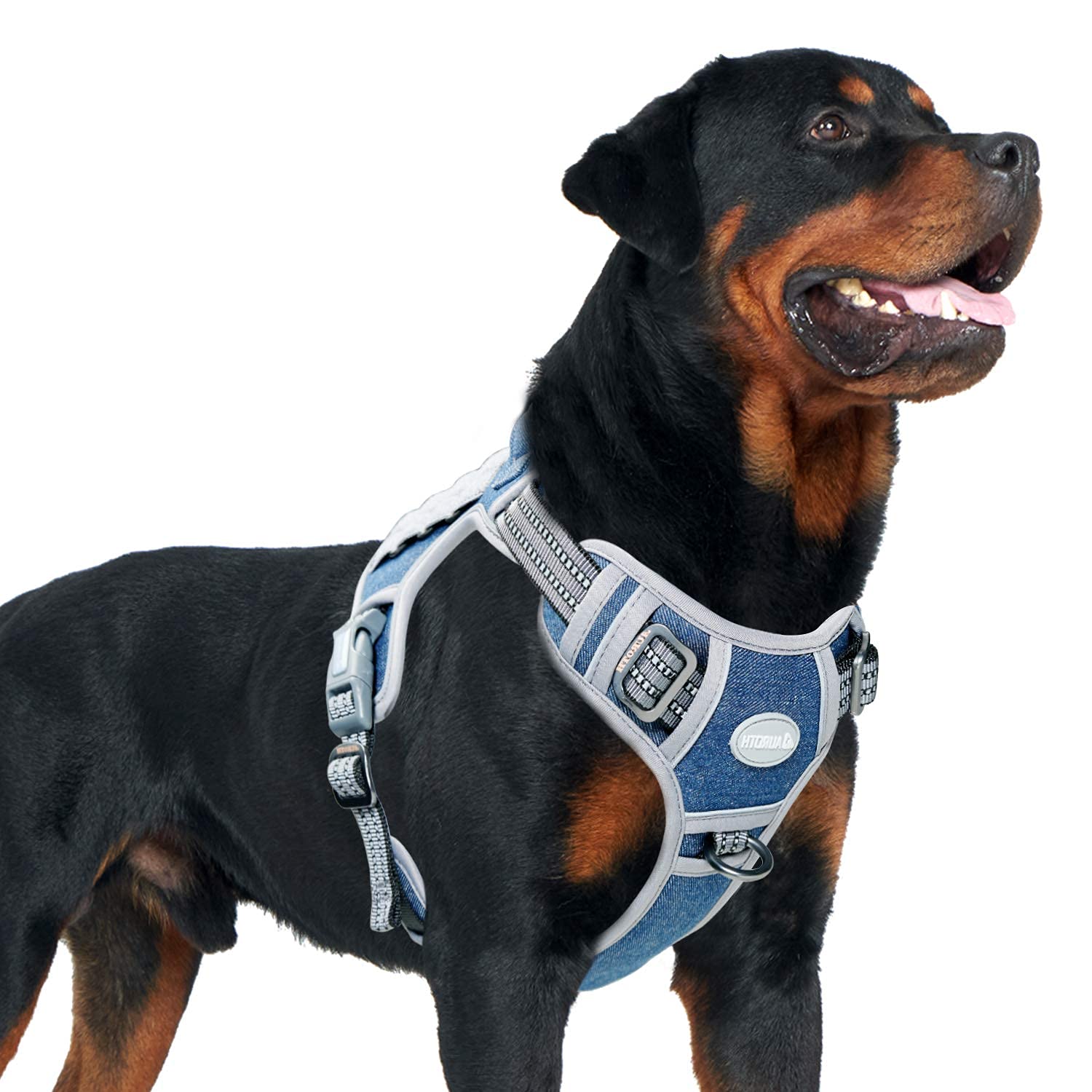 Auroth Tactical Dog Harness – No Pull Adjustable Pet Harness with Leash for Large Dogs (Multiple Sizes & Colors)