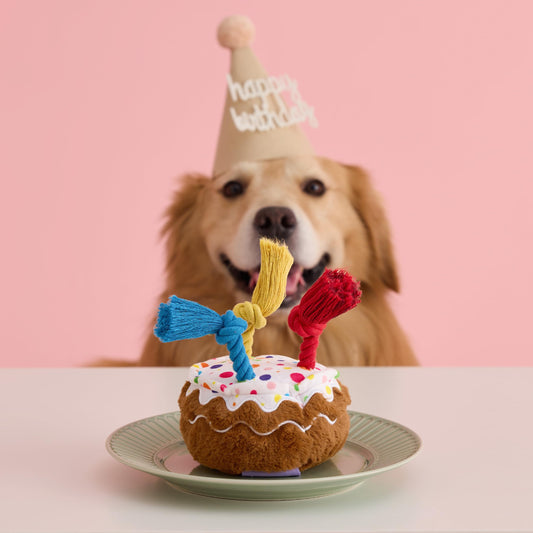 LE SURE Dog Birthday Cake Toy — Cute Squeaky Interactive Toy for Gentle Chewers with Tug Rope (Standard & Extra Small)