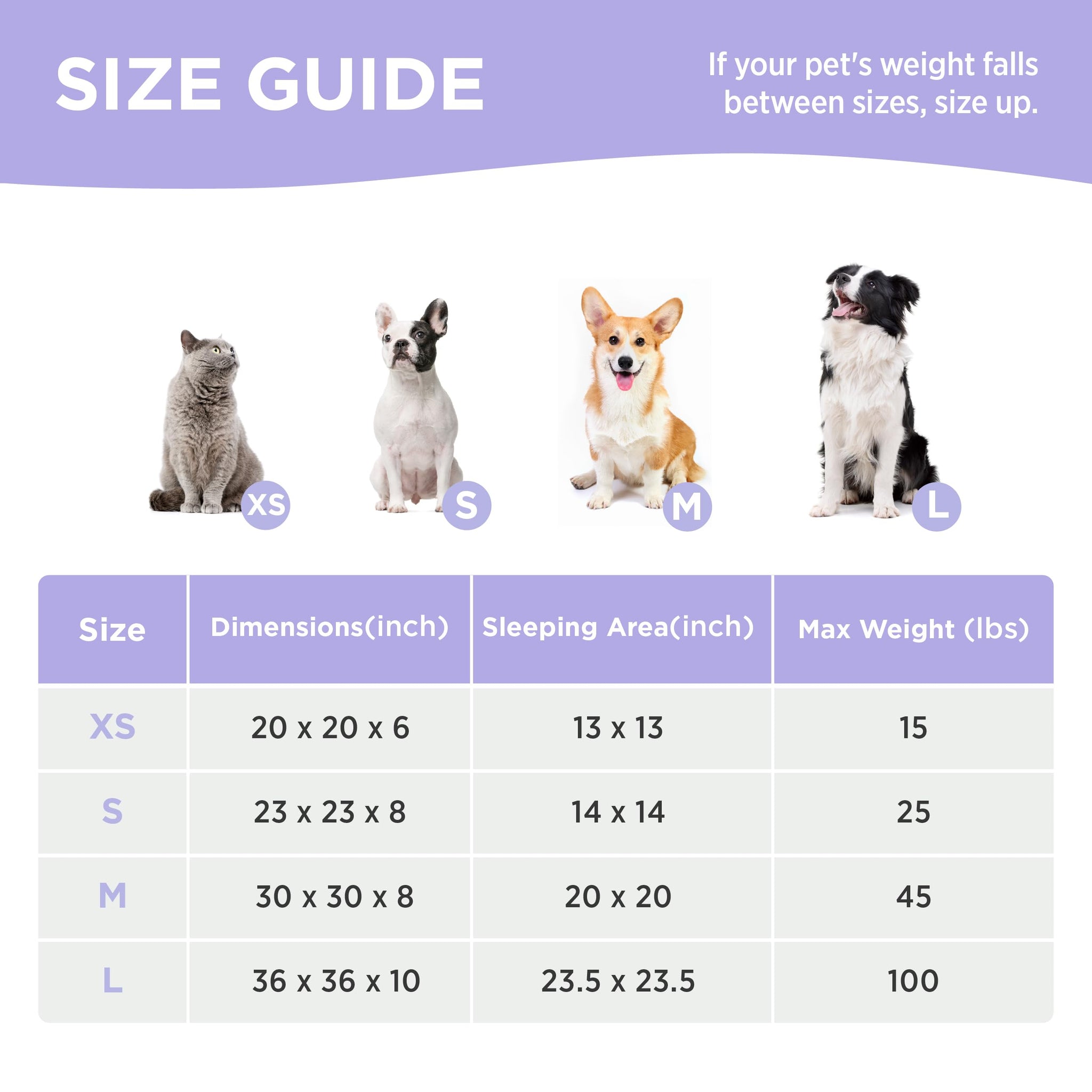 LE SURE Donut Dog Bed — Cozy, Washable & Calming Bed for Small to Large Dogs