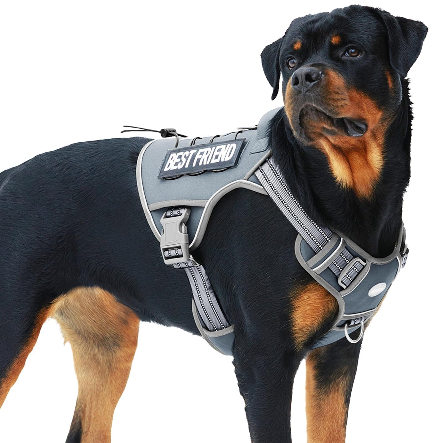 Auroth Tactical Dog Harness – No Pull Adjustable Pet Harness with Leash for Large Dogs (Multiple Sizes & Colors)