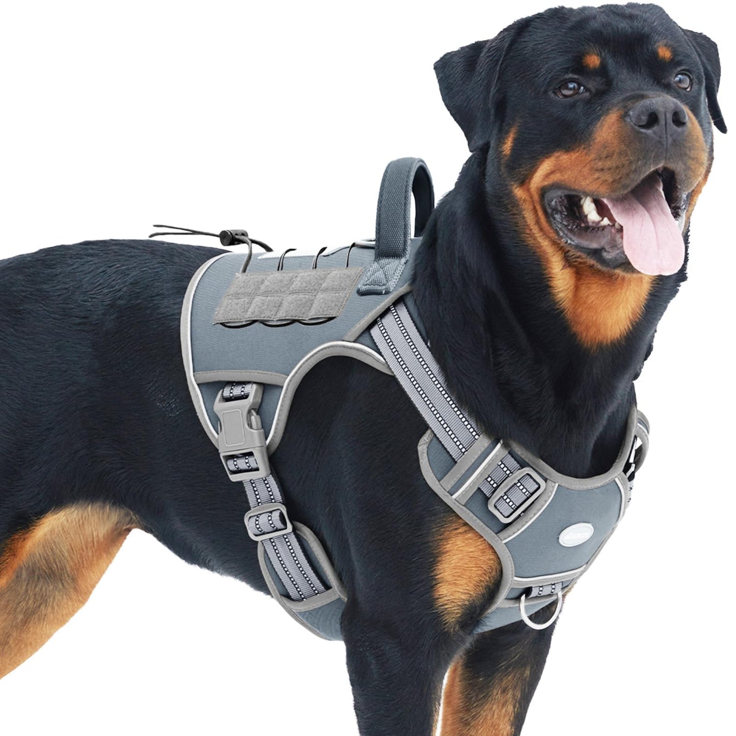 Auroth Tactical Dog Harness – No Pull Adjustable Pet Harness with Leash for Large Dogs (Multiple Sizes & Colors)