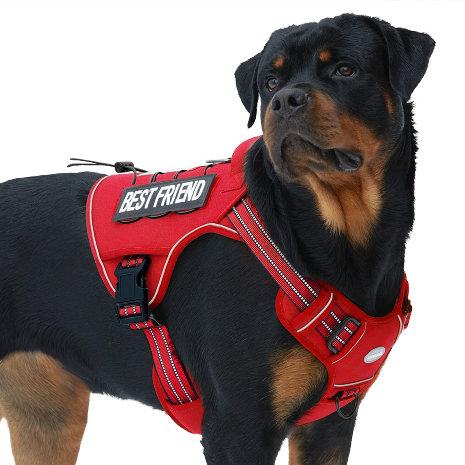 Auroth Tactical Dog Harness – No Pull Adjustable Pet Harness with Leash for Large Dogs (Multiple Sizes & Colors)