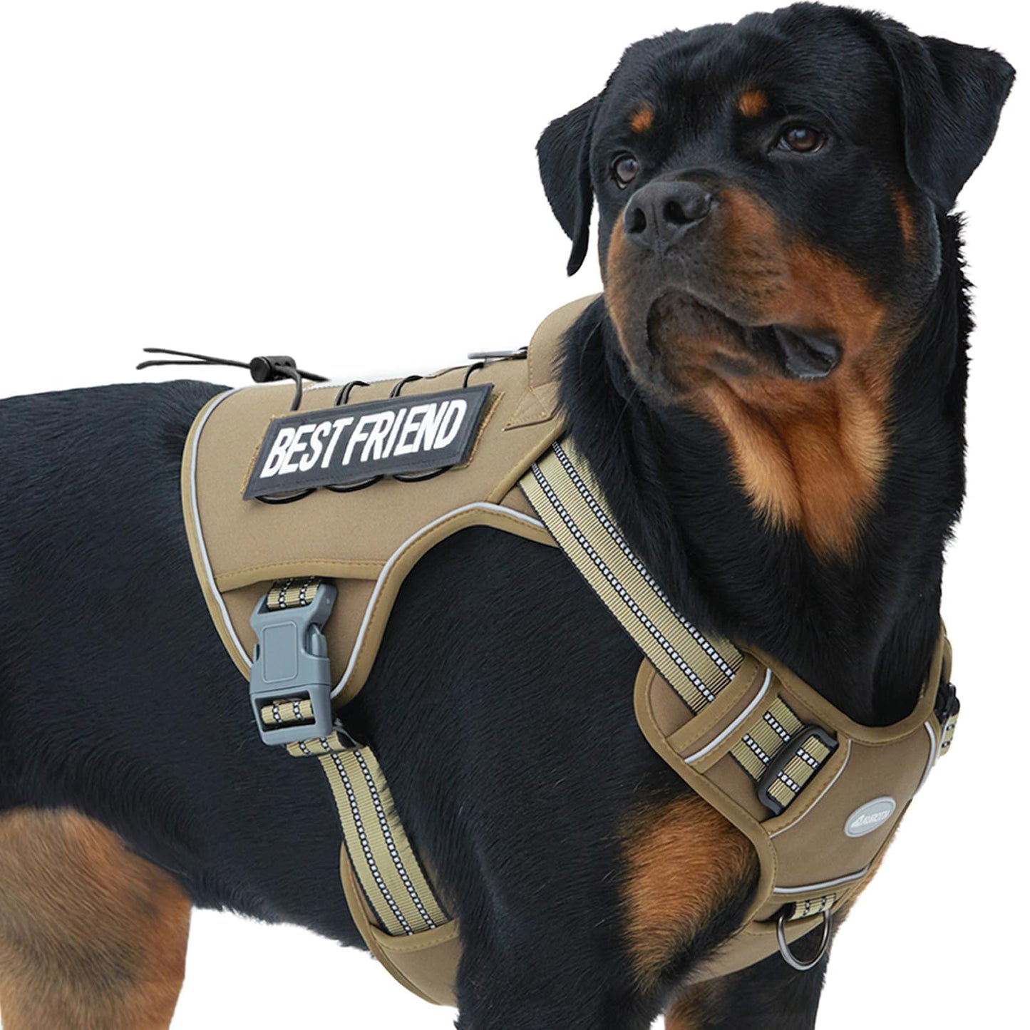 Auroth Tactical Dog Harness – No Pull Adjustable Pet Harness with Leash for Large Dogs (Multiple Sizes & Colors)