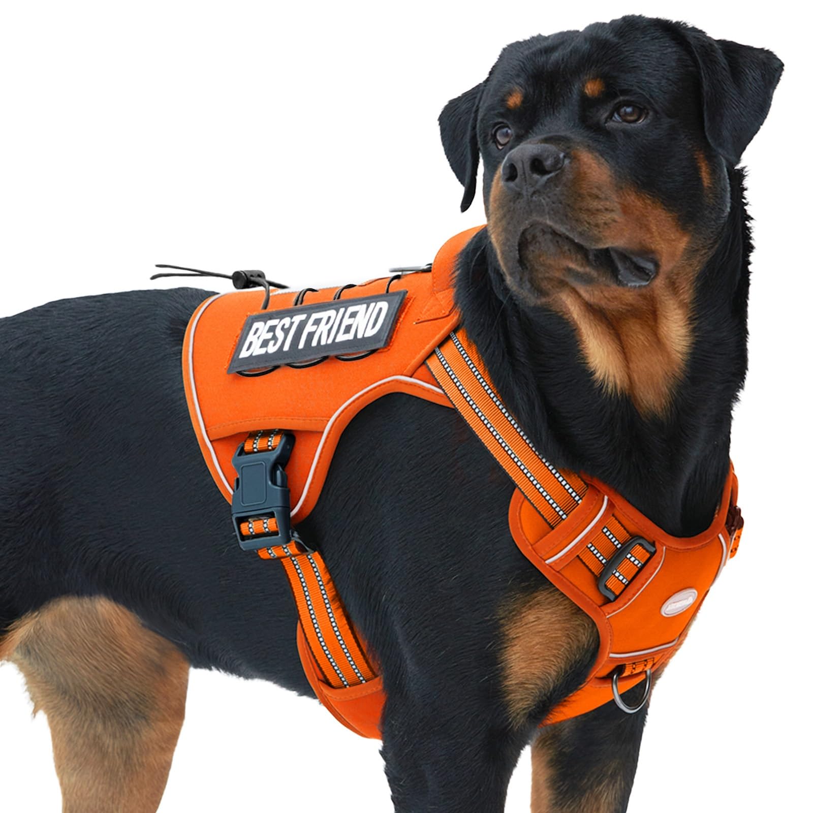 Auroth Tactical Dog Harness – No Pull Adjustable Pet Harness with Leash for Large Dogs (Multiple Sizes & Colors)