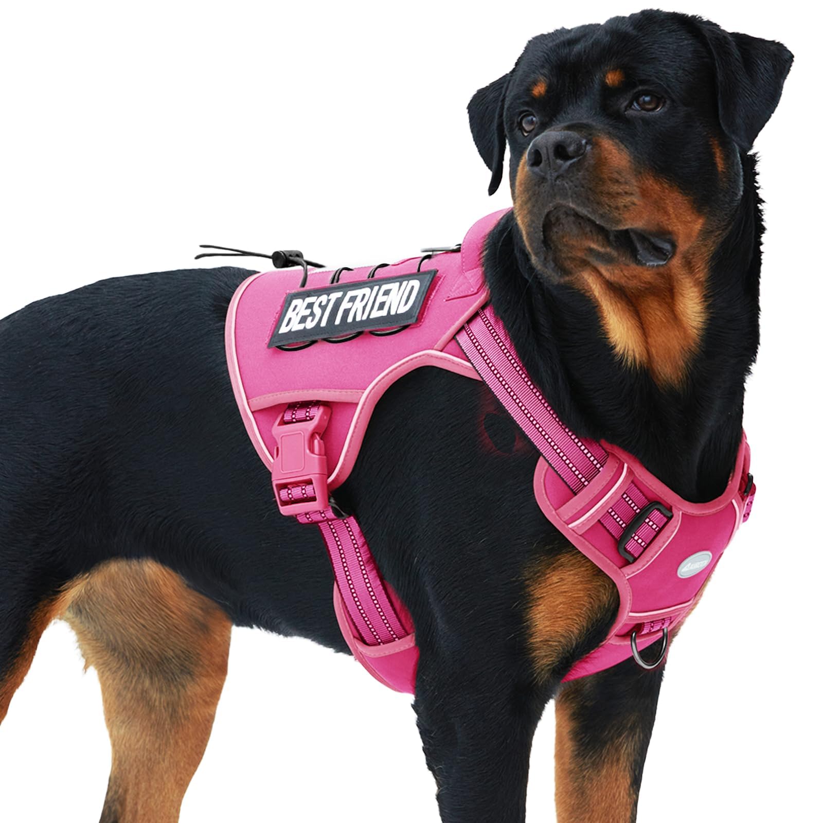 Auroth Tactical Dog Harness – No Pull Adjustable Pet Harness with Leash for Large Dogs (Multiple Sizes & Colors)