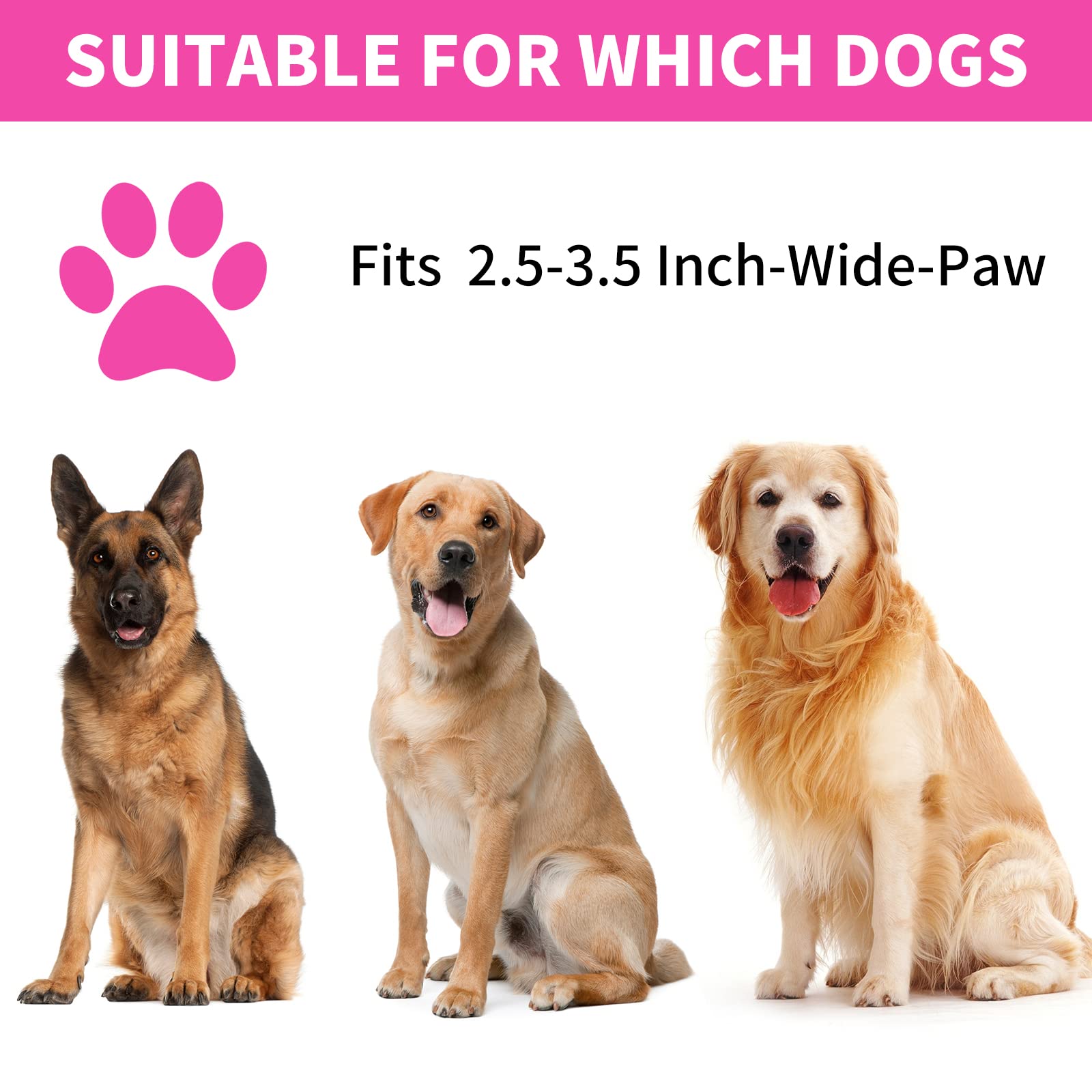 Professional 7-in-1 Dog Paw Cleaner for Dogs & Cats - Includes Portable Paw Washer, Bath Brush, 2 Toothbrushes & 3 Absorbent Towels