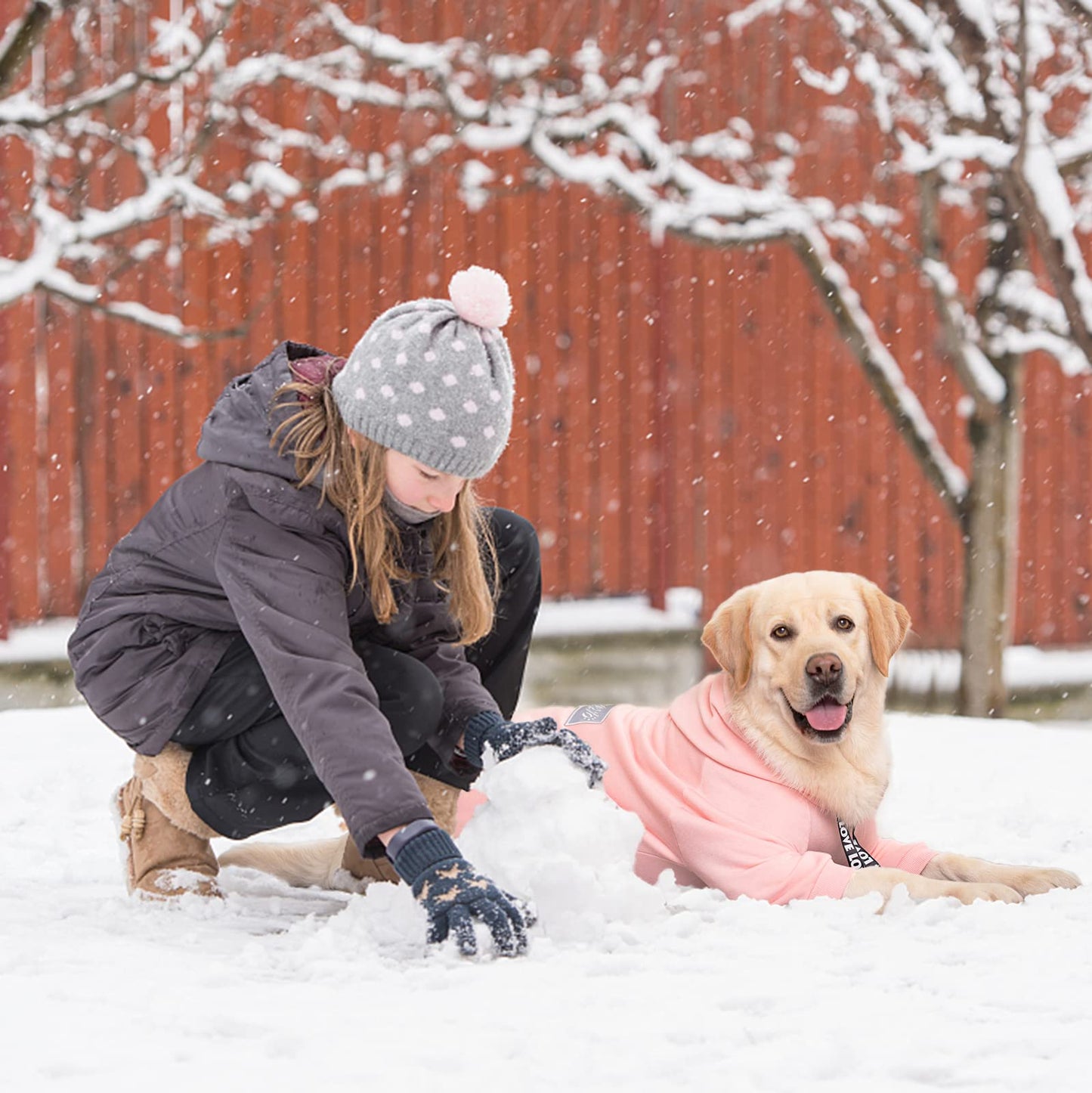 Dog Hoodies Winter Coat for Large and Medium Dogs - Pullover 9 Legs Warm Coat with Hood for Cold Weather - Available in Red, Pink, and Grey