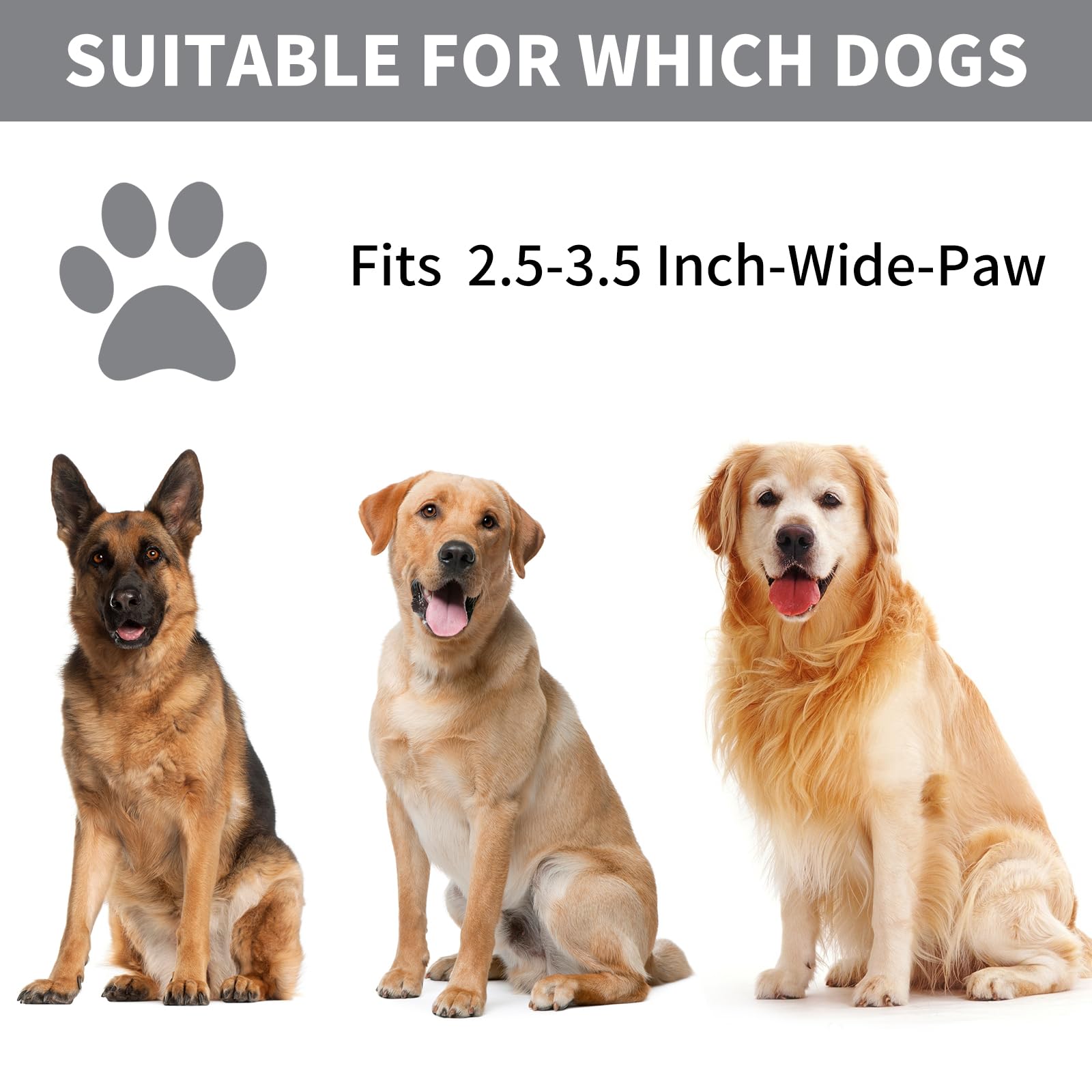 Professional 7-in-1 Dog Paw Cleaner for Dogs & Cats - Includes Portable Paw Washer, Bath Brush, 2 Toothbrushes & 3 Absorbent Towels