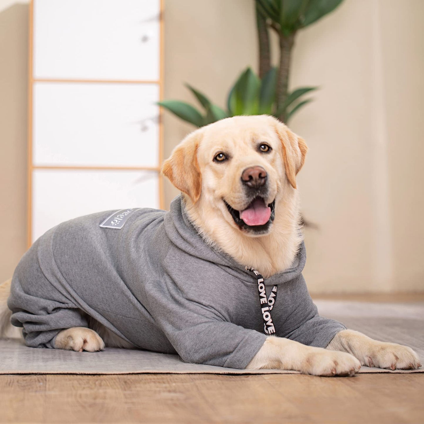 Dog Hoodies Winter Coat for Large and Medium Dogs - Pullover 9 Legs Warm Coat with Hood for Cold Weather - Available in Red, Pink, and Grey
