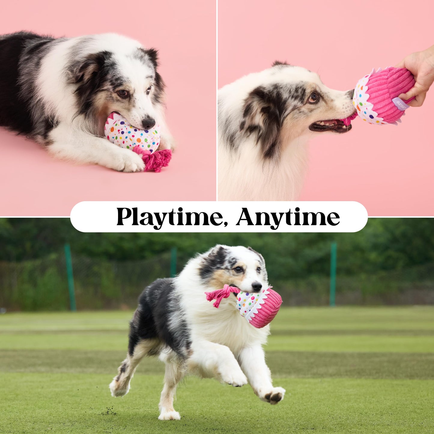 LE SURE Dog Birthday Cake Toy — Cute Squeaky Interactive Toy for Gentle Chewers with Tug Rope (Standard & Extra Small)