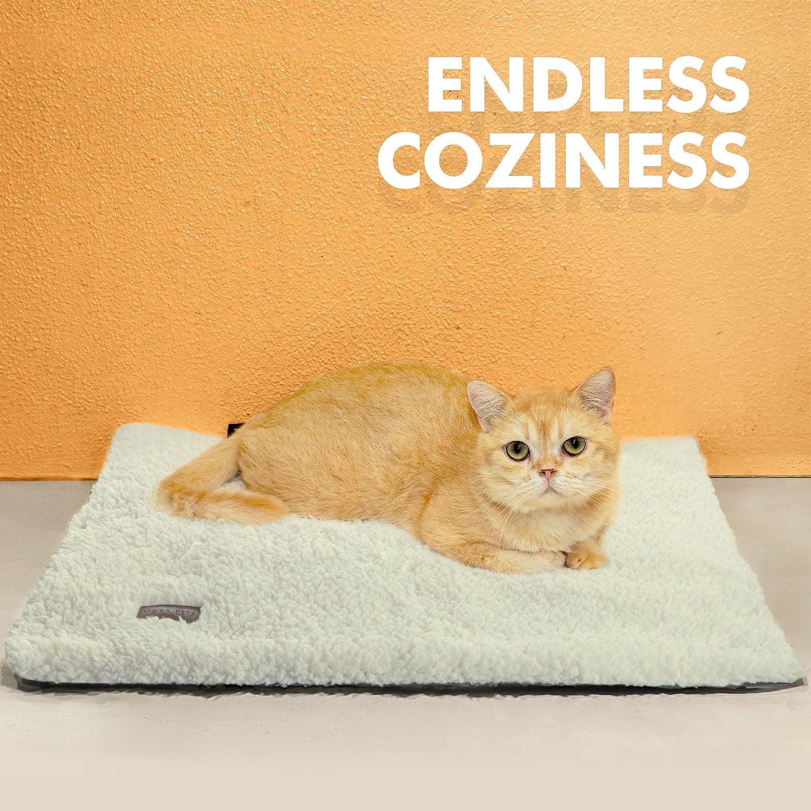 Self Warming Cat Bed Self Heating Cat Dog Mat 24 x 18 inch Extra Warm Thermal Pet Pad for Indoor Outdoor Pets with Removable Cover Non-Slip Bottom Washable Light Grey Non Electric