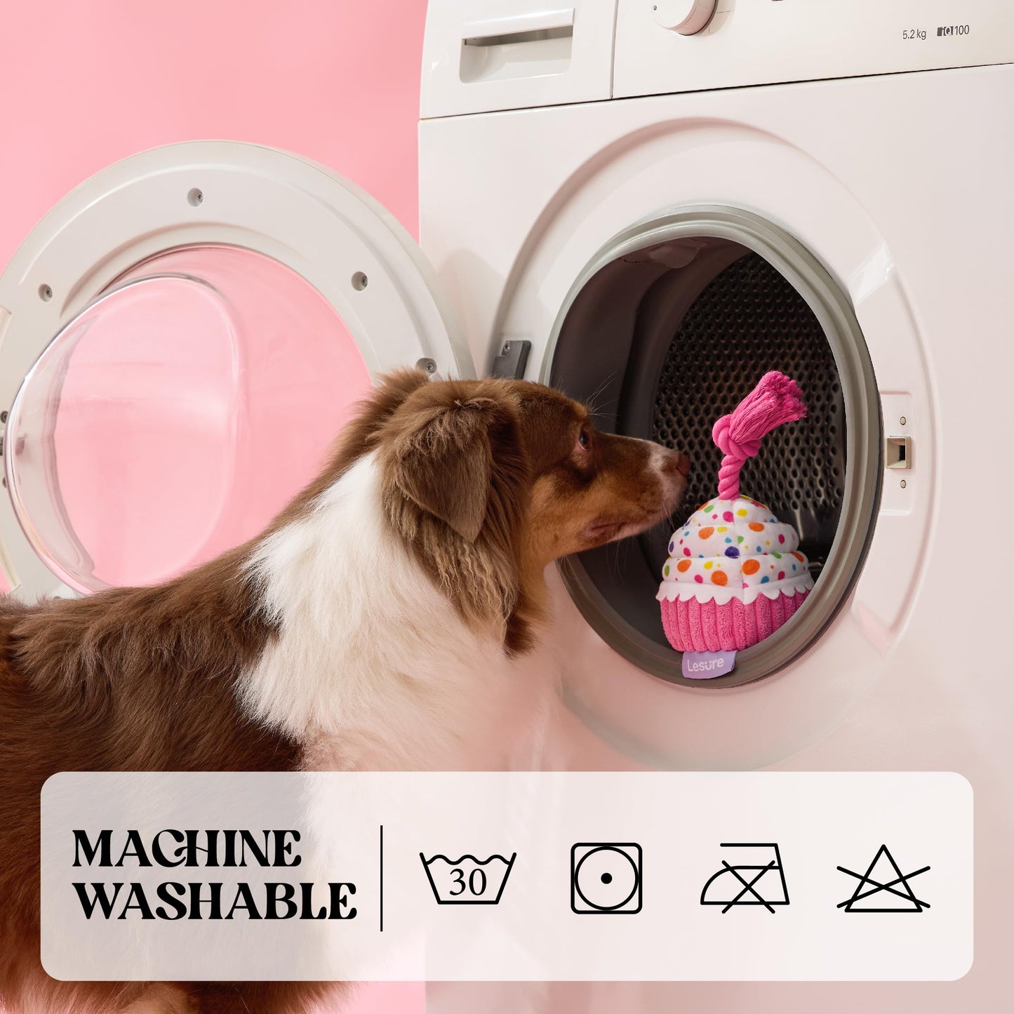 LE SURE Dog Birthday Cake Toy — Cute Squeaky Interactive Toy for Gentle Chewers with Tug Rope (Standard & Extra Small)