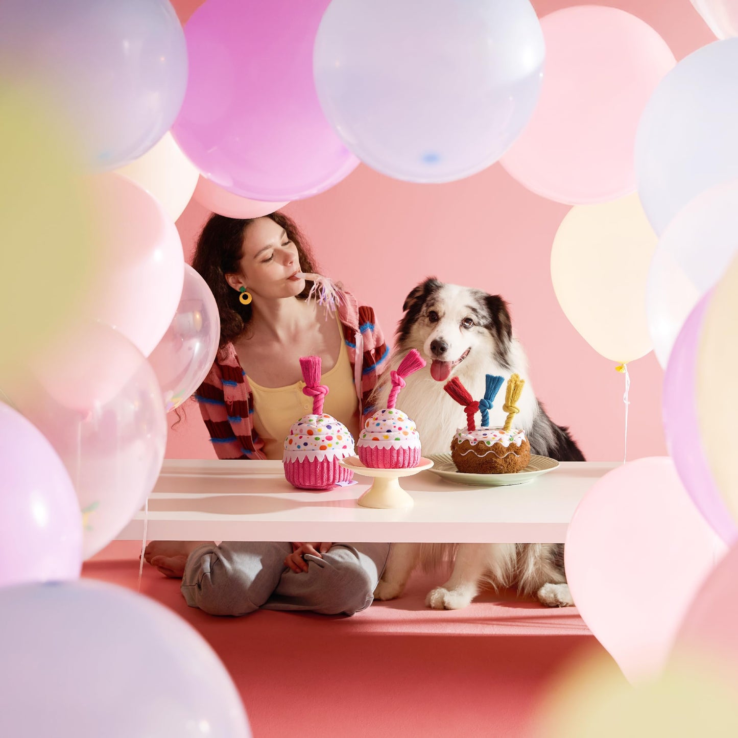 LE SURE Dog Birthday Cake Toy — Cute Squeaky Interactive Toy for Gentle Chewers with Tug Rope (Standard & Extra Small)