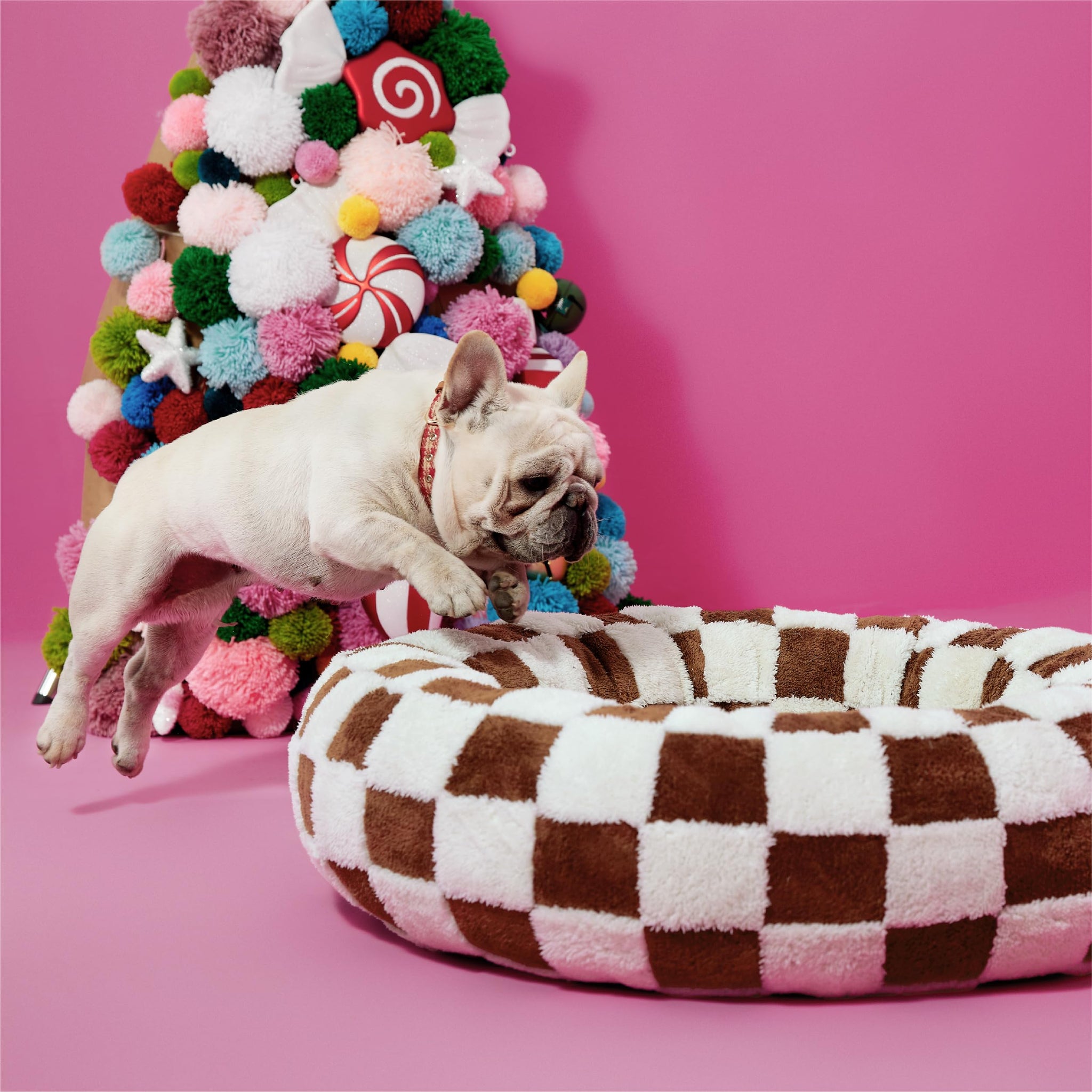 LE SURE Donut Dog Bed — Cozy, Washable & Calming Bed for Small to Large Dogs