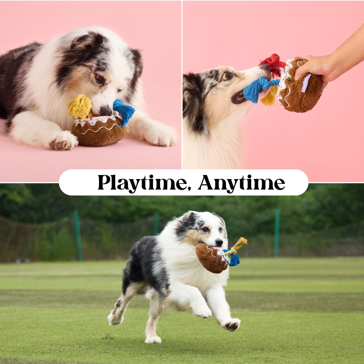 LE SURE Dog Birthday Cake Toy — Cute Squeaky Interactive Toy for Gentle Chewers with Tug Rope (Standard & Extra Small)