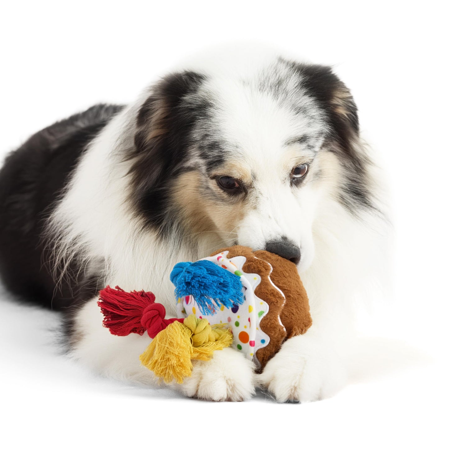 LE SURE Dog Birthday Cake Toy — Cute Squeaky Interactive Toy for Gentle Chewers with Tug Rope (Standard & Extra Small)
