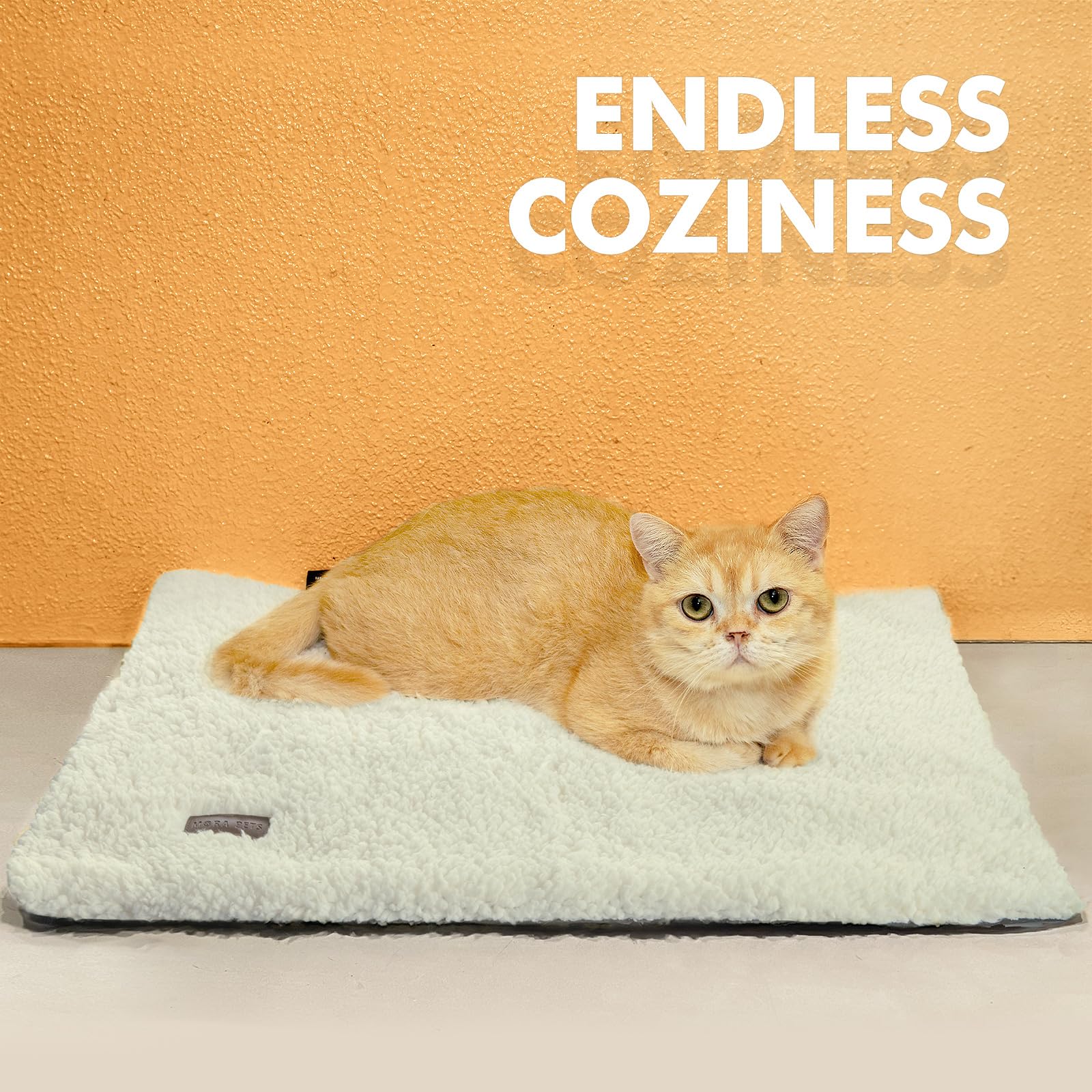 Self Warming Cat Bed Self Heating Cat Dog Mat 24 x 18 inch Extra Warm Thermal Pet Pad for Indoor Outdoor Pets with Removable Cover Non-Slip Bottom Washable Light Grey Non Electric