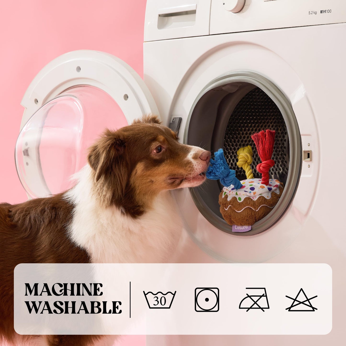 LE SURE Dog Birthday Cake Toy — Cute Squeaky Interactive Toy for Gentle Chewers with Tug Rope (Standard & Extra Small)