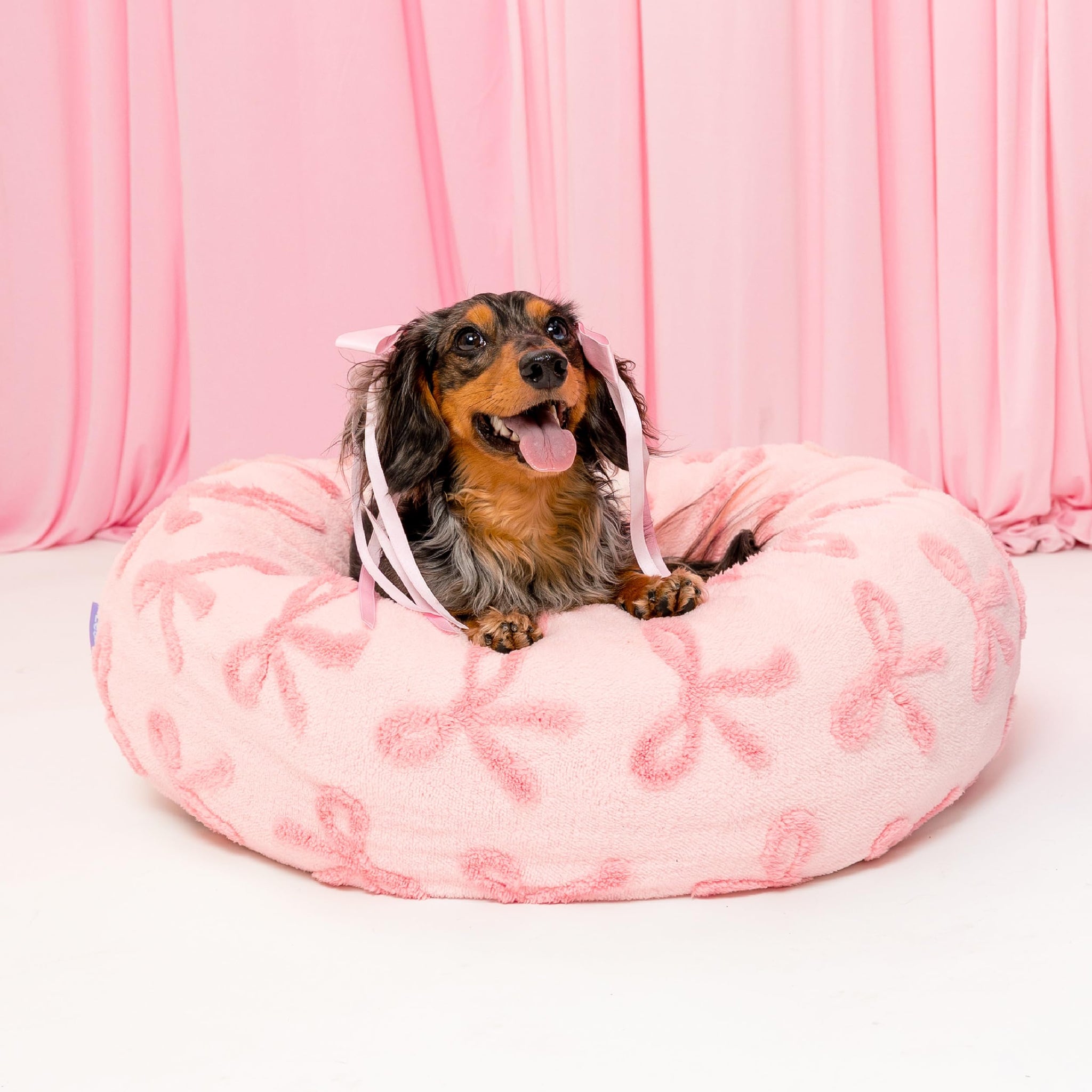 LE SURE Donut Dog Bed — Cozy, Washable & Calming Bed for Small to Large Dogs