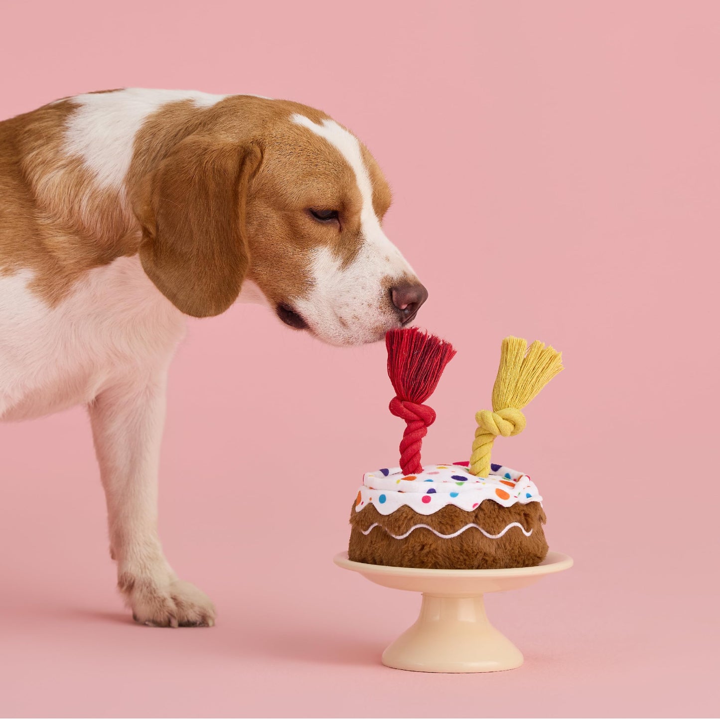 LE SURE Dog Birthday Cake Toy — Cute Squeaky Interactive Toy for Gentle Chewers with Tug Rope (Standard & Extra Small)