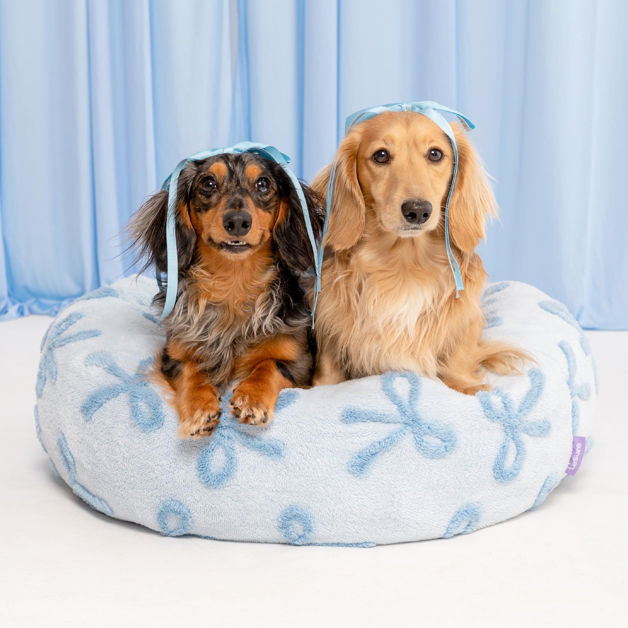LE SURE Donut Dog Bed — Cozy, Washable & Calming Bed for Small to Large Dogs