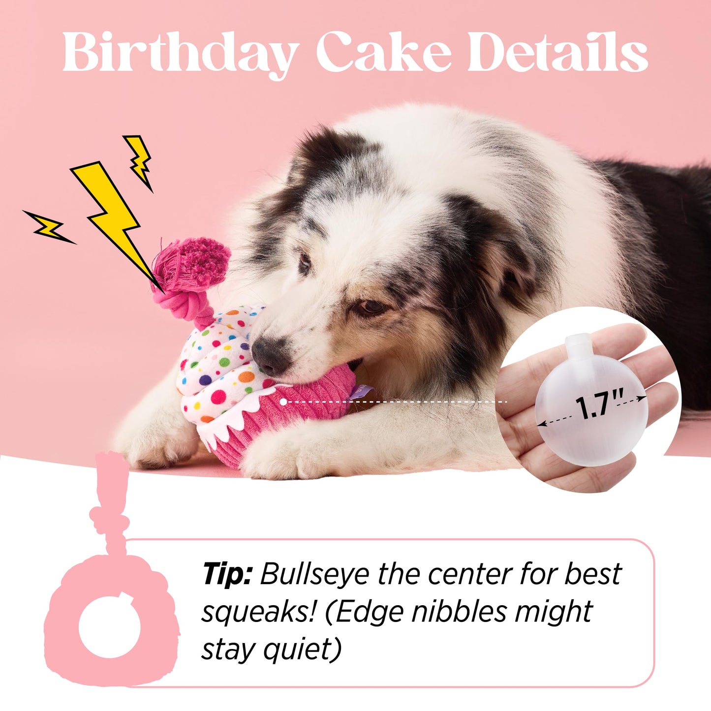 LE SURE Dog Birthday Cake Toy — Cute Squeaky Interactive Toy for Gentle Chewers with Tug Rope (Standard & Extra Small)