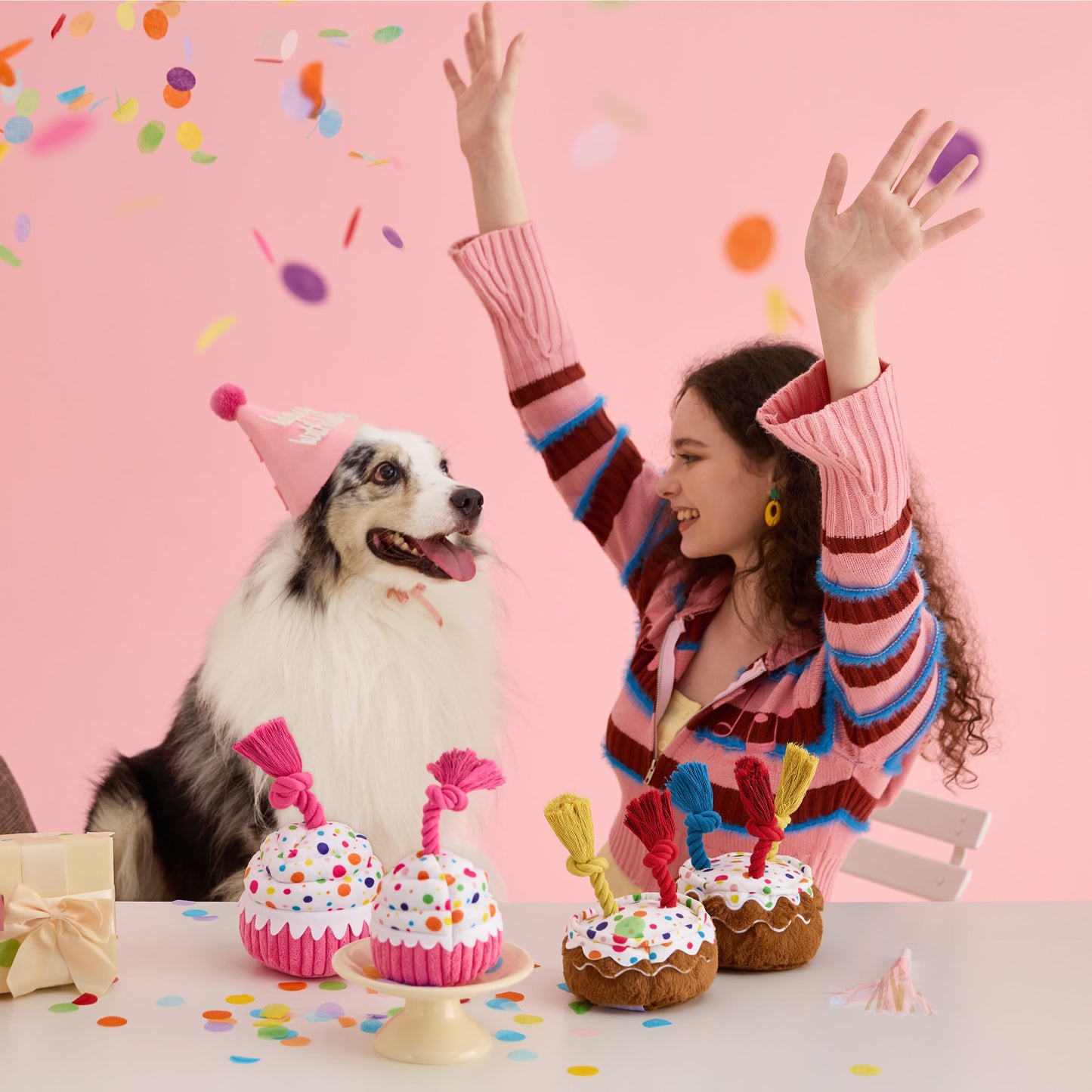 LE SURE Dog Birthday Cake Toy — Cute Squeaky Interactive Toy for Gentle Chewers with Tug Rope (Standard & Extra Small)