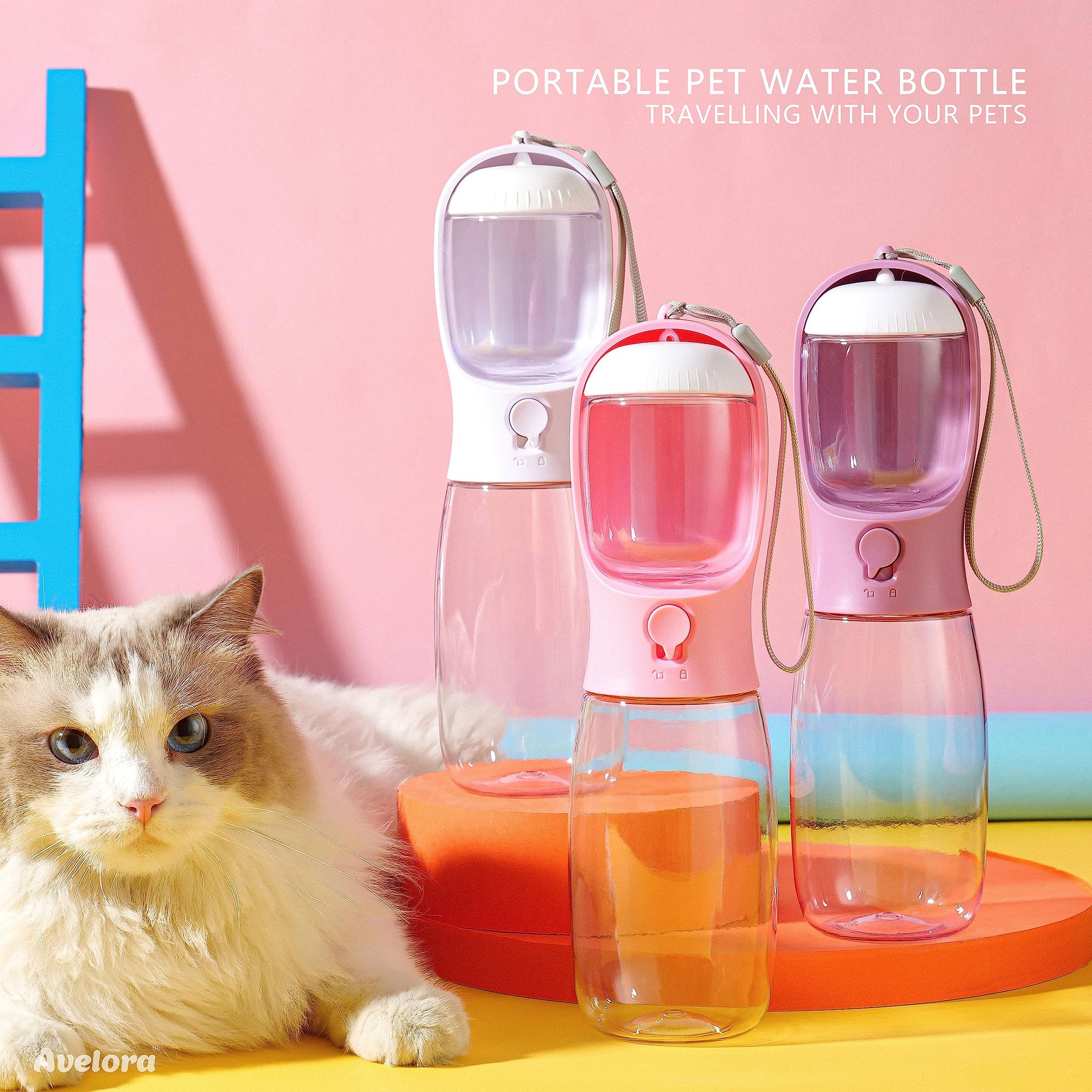 Portable Dog Water Bottle with Food Container | Outdoor Water Dispenser for Dogs, Cats, & Small Pets | 10oz